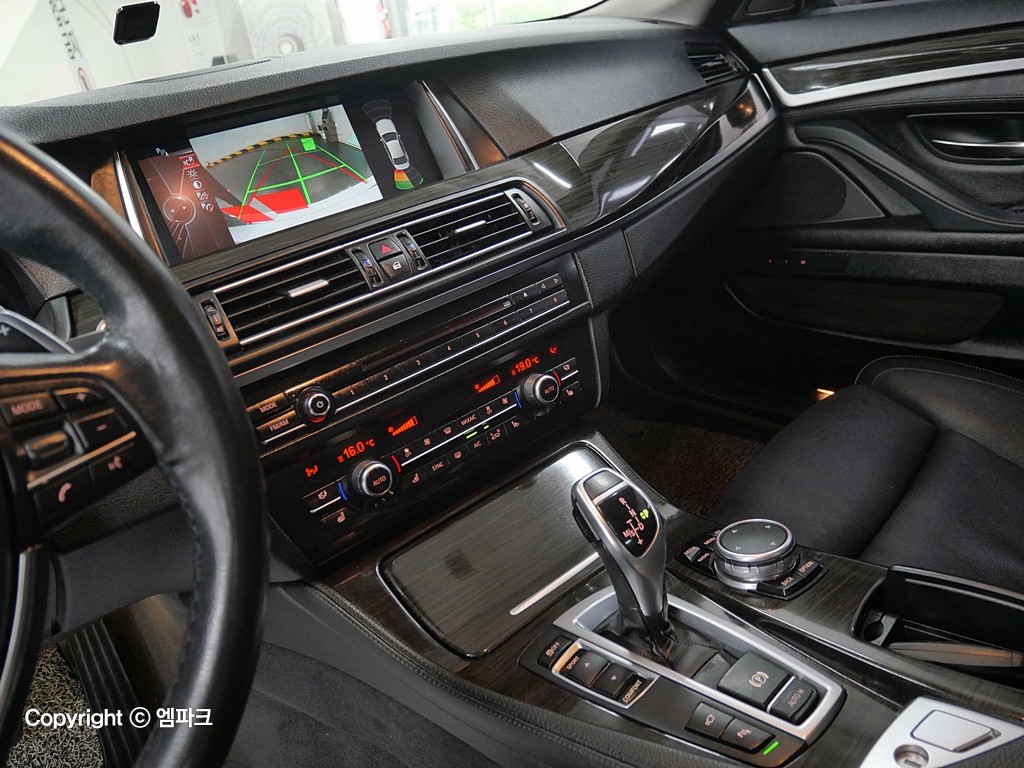 BMW 5 Series 528i Luxury Line Plus 10