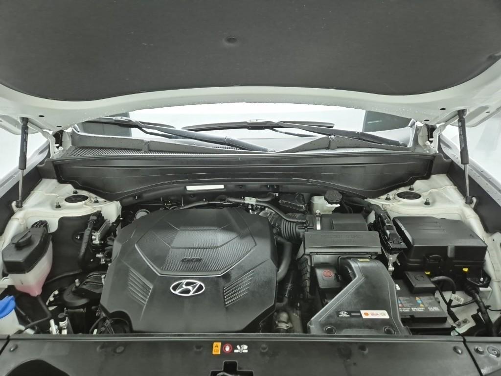 Hyundai Palisade Calligraphy 3.8 Gasoline AWD 6