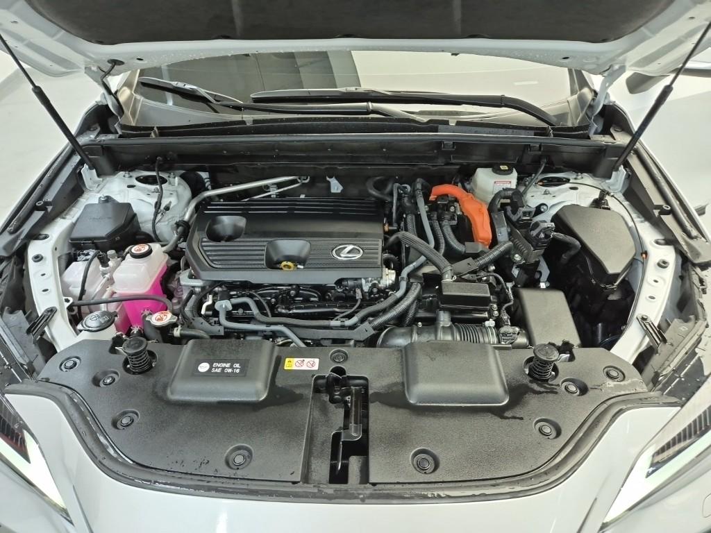 LEXUS NX 350h