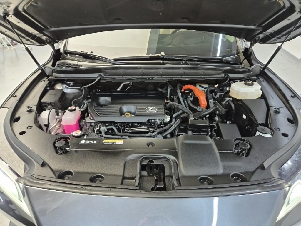 Lexus RX Luxury 350h 6
