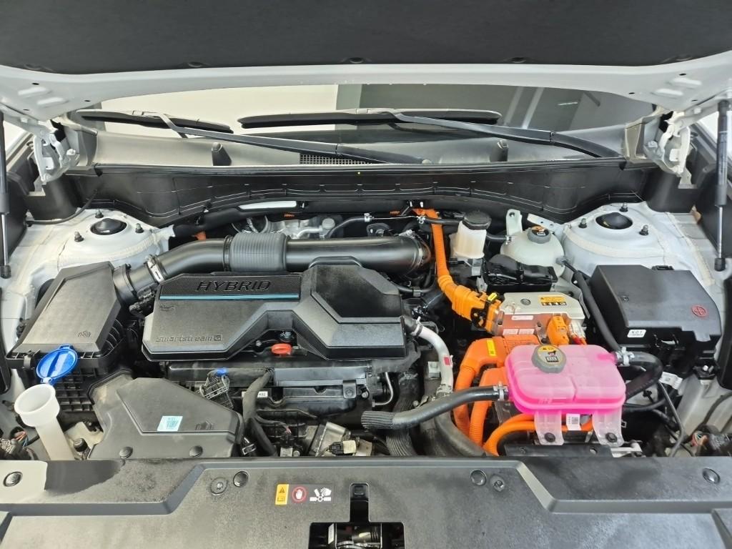 Hyundai Santa Fe The Hybrid Calligraphy G1.6T Hybrid 2WD 6