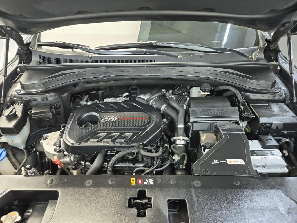 Hyundai Santa Fe 2019 photo 5