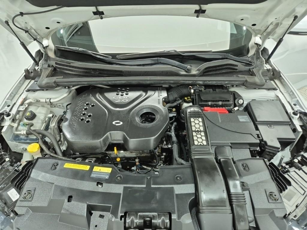 RENAULT(SAMSUNG) SM6 2.0 GDe