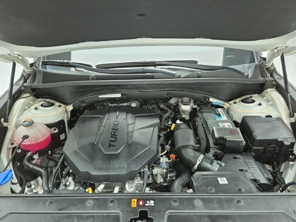 Hyundai Santa Fe Premium Diesel 2.2 2WD 6