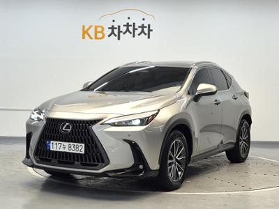 렉서스 NX(2세대)