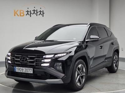 1.6 터보 2WD